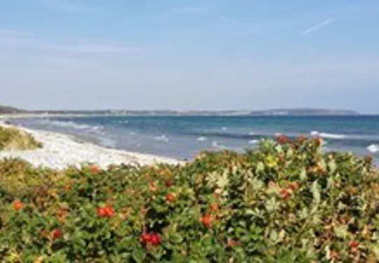 Ferienhaus Ebeltoft Djursland mit Ostsee Bucht Ferienhäuser Dänemark Ebeltoft Ostsee Urlaub