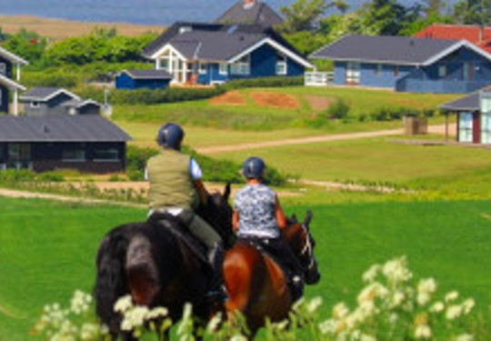 Wo kann ich reiten in Vejlby Klit Gjellerodde Ferienhaus Reiturlaub am Limfjord