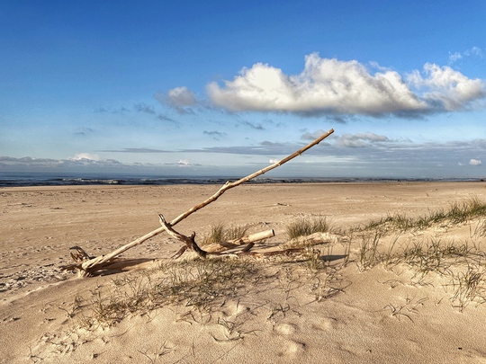 Sommerurlaub in Henne Strand an der Nordsee