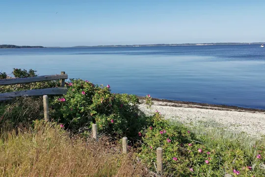 Badeurlaub am Fjord Limfjord Naturstrand in Dänemark