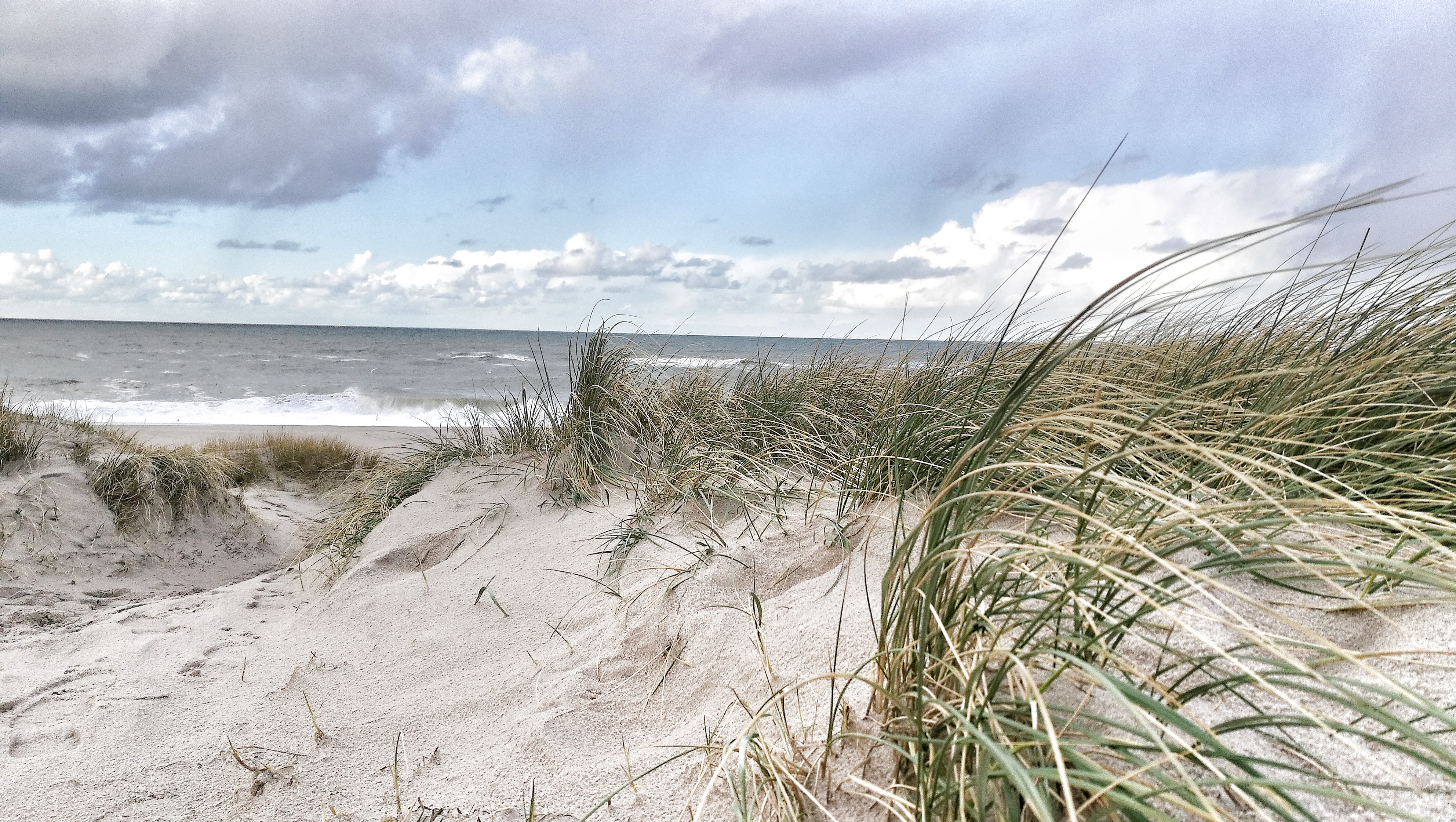 Dänemark Nordsee Strand in Fjaltring