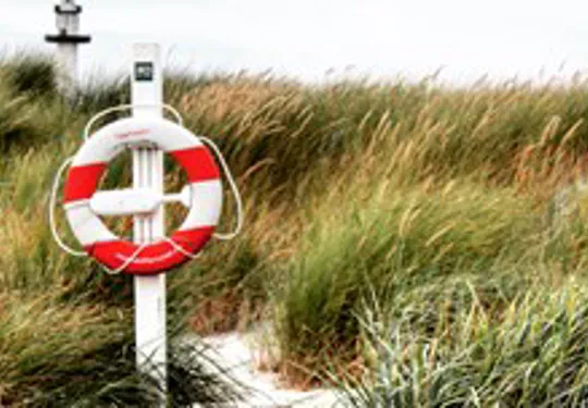 Bornholm Ferienhäuser Dueodde Dünen Dänemark