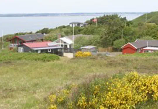 Hier geht es zu den Ferienhäusern in Toftum Bjerge Totum Bjerge
