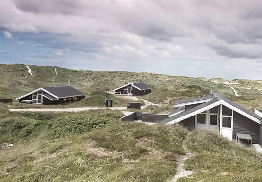 Strand und Dünen in Vejlby Klit Dänemark Ferienhäuser an der Nordsee