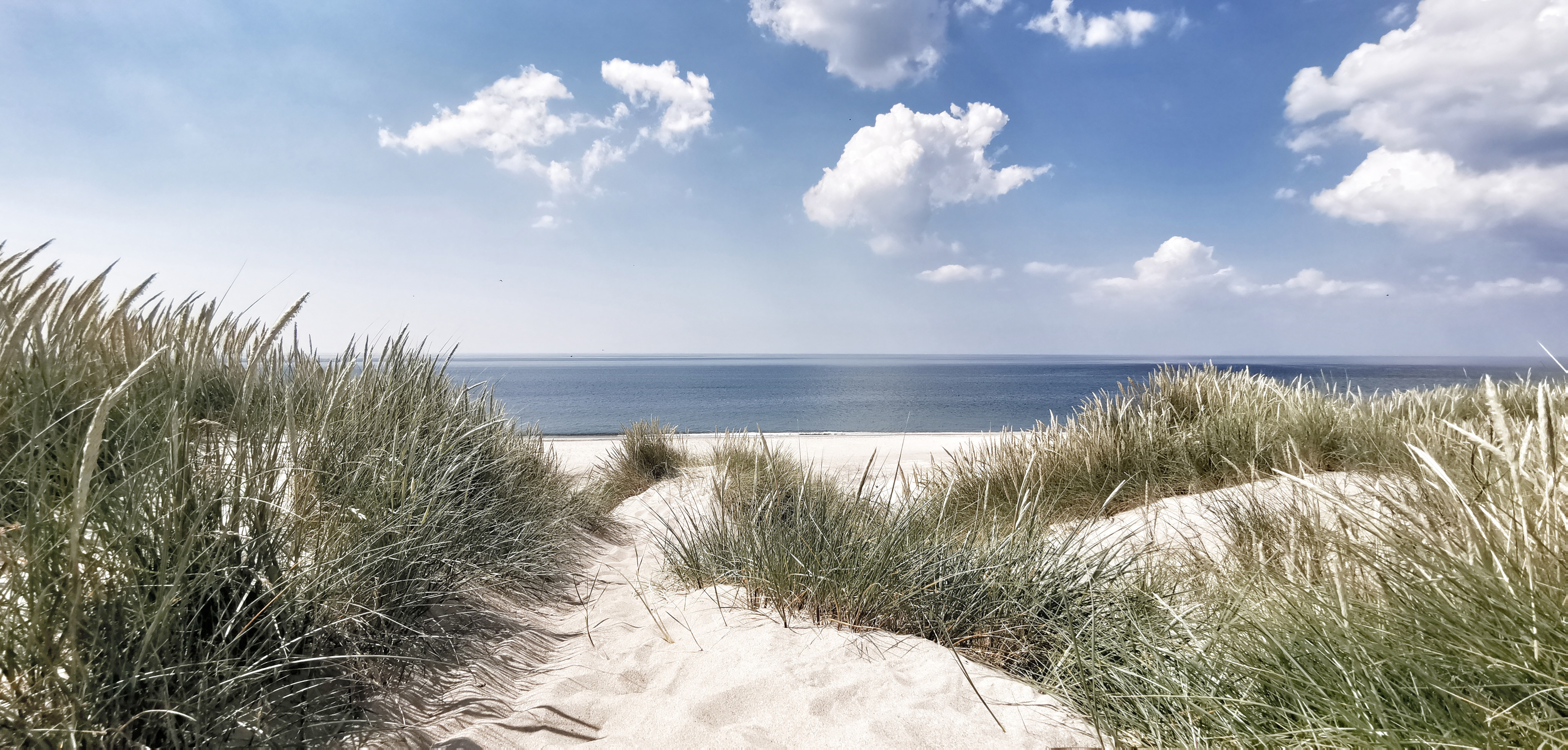 Feriengebiete Vejlby Klit Nordsee Dänemark