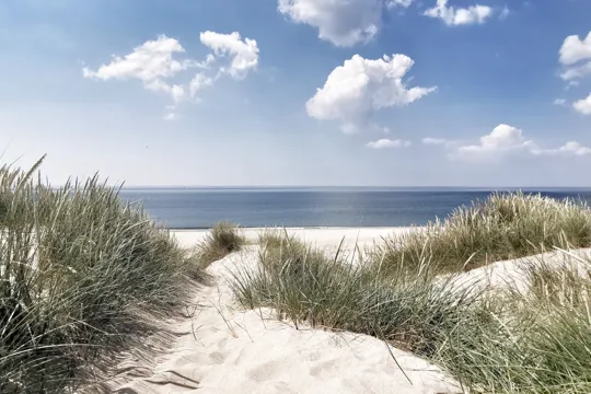 Feriengebiete Vejlby Klit Nordsee Dänemark