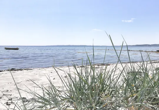 Tolle Ostsee Naturstrände Ebeltoft Urlaub in Djursland Dänemark