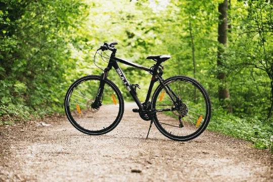 Mietfahrrad im Wald Vejlby Klit