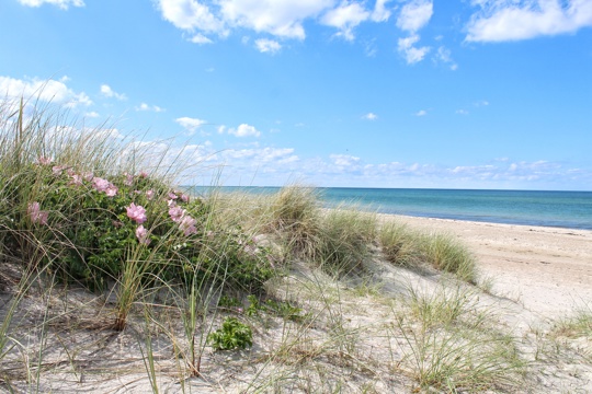 Ostsee Strand im Dänemark Urlaub Strand im Sommer Djursland Dänemark