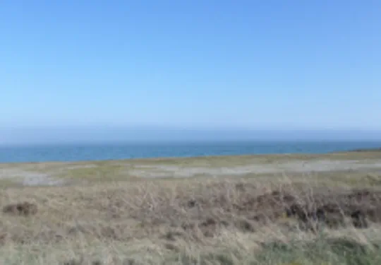 Hier geht es zu den Ferienhäusern in Boeslum Strand Boeslum Strand Dänemark Ostsee Urlaub